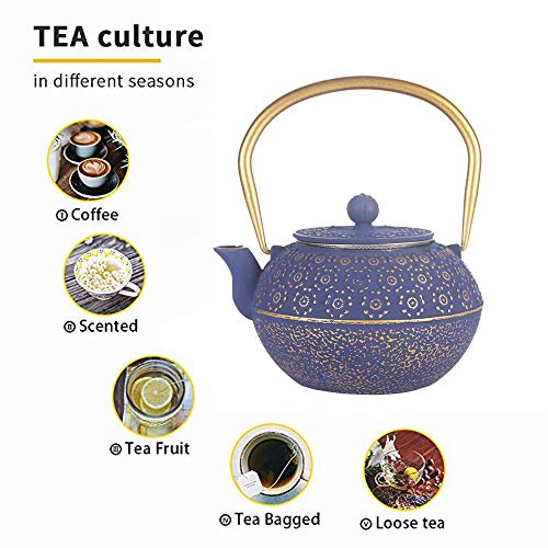 Cast Iron Tea Kettle, Japanese Tetsubin Tea Pot Coated With Enameled Interior, Durable Cast Iron Teapot With Stainless Steel Infuser (1000Ml/34Oz) #TOP2