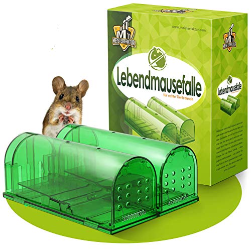 Preisvergleich Produktbild MEISTERFAKTUR Mausefalle Lebend - Schwanz bleibt unverletzt - Extra große Lebendfalle mit sensiblem Auslöser [2 Stück] (Grün)