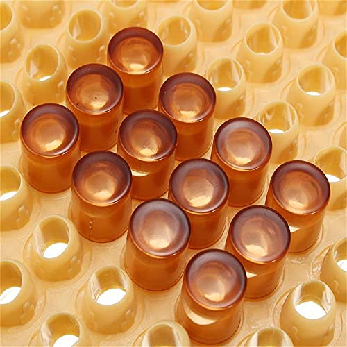 APlayfulBee Plastic Queen Rearing System Beekeeping Bee Grafting Kit Royal Jelly Squeegee Pen Cultivating Box Cell Cups Queen Bee Cage Catcher Clips Beekeeping Grafting Tool Supplies