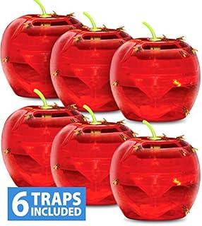 Raid Fruit Fly Trap Bundle, Set of 3 2-Pack Apple Fruit Fly Catcher