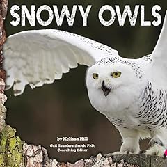 Snowy Owls Audiolibro Por Gail Saunders-Smith, Melissa Hill arte de portada