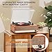 Vinyl Record Player with Upgraded Speakers,3 Speed Turntable with Latest Bluetooth 5.3, AUX Input, Headphone Jack, RCA Output and Auto Stop, Mirror Vintage Wooden Design