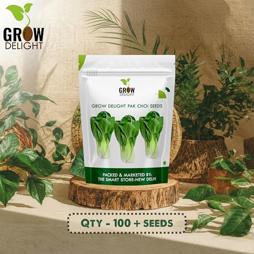 Image of Pak Choi (Pak Choi) (100 Seeds) Exotic Vegetable Seeds for Home Garden, Organic & Hybrid, Perfect for Home Gardening, Planting For Pots and Patio