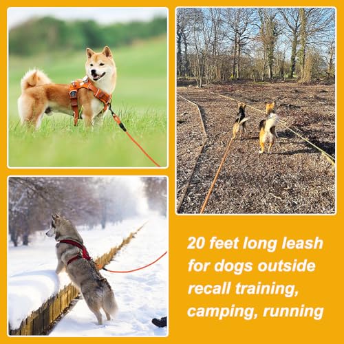 Vivifying Schleppleine 10M für Hunde, Reflektierende Schleppleine für Draußen und Hof, Schwimmende Schleppleine für Hunde für Camping, Wandern, Schwimmen und Strand (Orange)