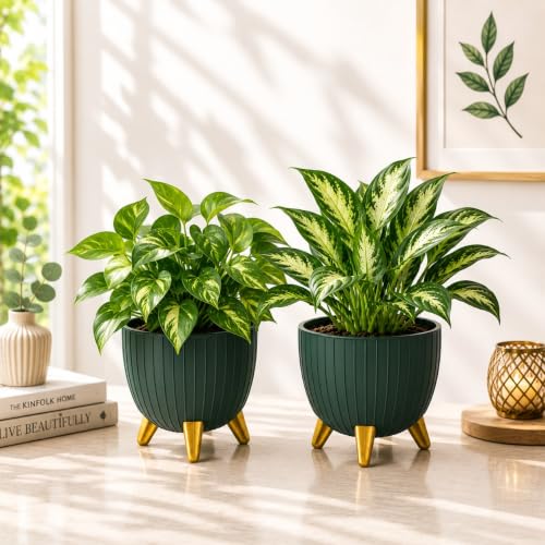 Image of Xmart India 7 Inch Decorative Plant Pot for Indoor & Outdoor Plants | Planter Pot with Stand & Legs |Ribbed Flower Pot for Home, Balcony, Garden, Living Room & Office | Plant Container (2, Green)