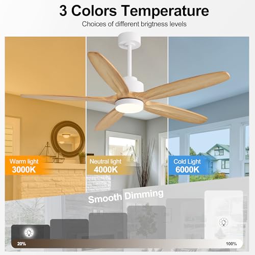 Image of WINGBO 54 inch Ceiling Fan with Light - 5 Carved Solid Wood Blades, 6-Speed Reversible DC Motor, Dimmable, 3CCT, Noiseless Remote Control Ceiling Fans with Lights for Bedroom Living Room, White and Oak