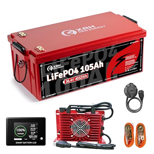 36V(38.4V) LiFePO4 Lithium Battery Built-in 250A BMS,with 36V 20A...