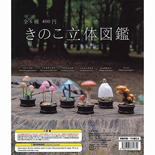 きのこ立体図鑑　全6種　コンプリートセット　ガチャ Amazon | きのこ立体図鑑 全6種セット ガチャ ガシャポン