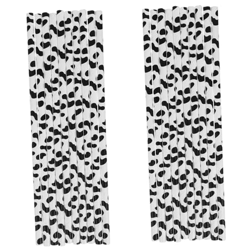 KOCKSHION 60~Ne[}ĝĎXg[ p[eB[p K