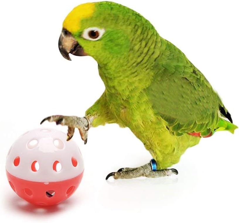 Bird Interactive Bell Ball, Bird Toy for Parakeet, Cockatiel, Budgerigar, Parrots, Set of 2, 1.5 Inches
