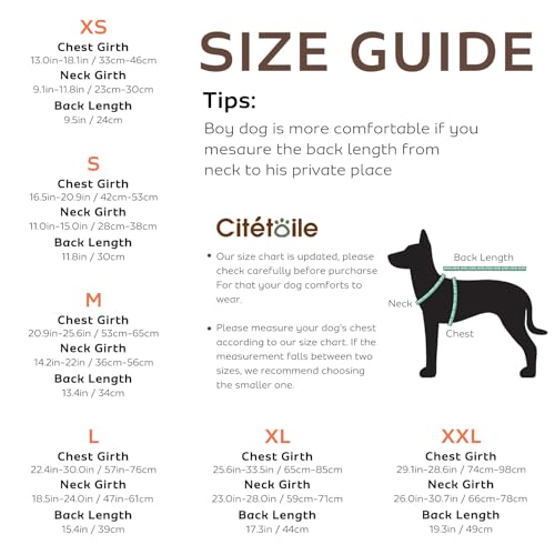 CITÉTOILE Schwimmweste Hund Hai, Hundeschwimmweste mit Griff, Orange, XS