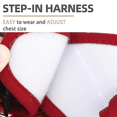 Pupteck Soft Mesh Dog Harness And Leash Set Step-In Plaid Puppy Padded No Pull Vest Harness For Xs Small Medium Sized Dogs Cats Outdoor Walking #TOP4