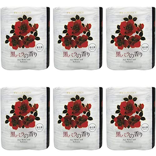 gCbgy[p[ _u o̍ 30m 4[ × 6Zbg yȈՕz