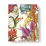 Caderno Criativo Argolado Office Duo Oceano Pautado & Pontado A5 Mergulho, Cicero 13 51IsqIjOLdL