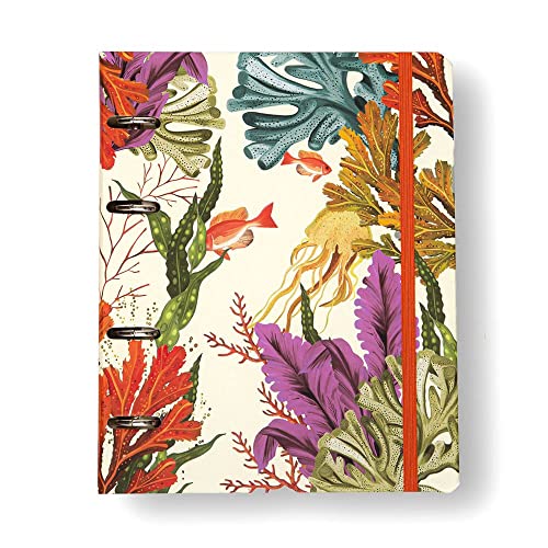 Caderno Criativo Argolado Office Duo Oceano Pautado & Pontado A5 Mergulho, Cicero 1 51IsqIjOLdL