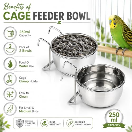 Image of Sage Square Bird Feeding Combo | Sunflower Seeds Bird Food 500gm + Stainless Steel Cage Feeder Bowl 250ml Set of 2 | Food, Seed, Water Serving Bowl for Parrot, Macaw, Cockatoo, Exotic Birds