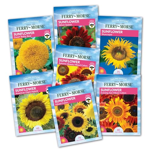 Image of Ferry Morse Sunflower Seeds - Attracts Pollinators, GMO Free, Full Sun - 7 Pack