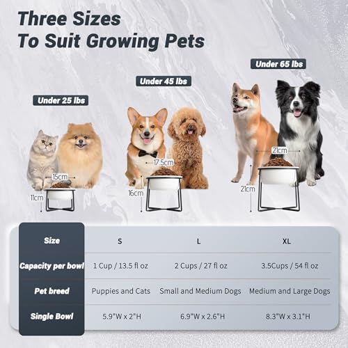 Hundenapf Erhöht Futternapf Hund Keramik - rutschfeste Fressnapf mit Metallständer - Ideal für Kleine und Mittelgroße Hunde - 800 ml - Mattweiß