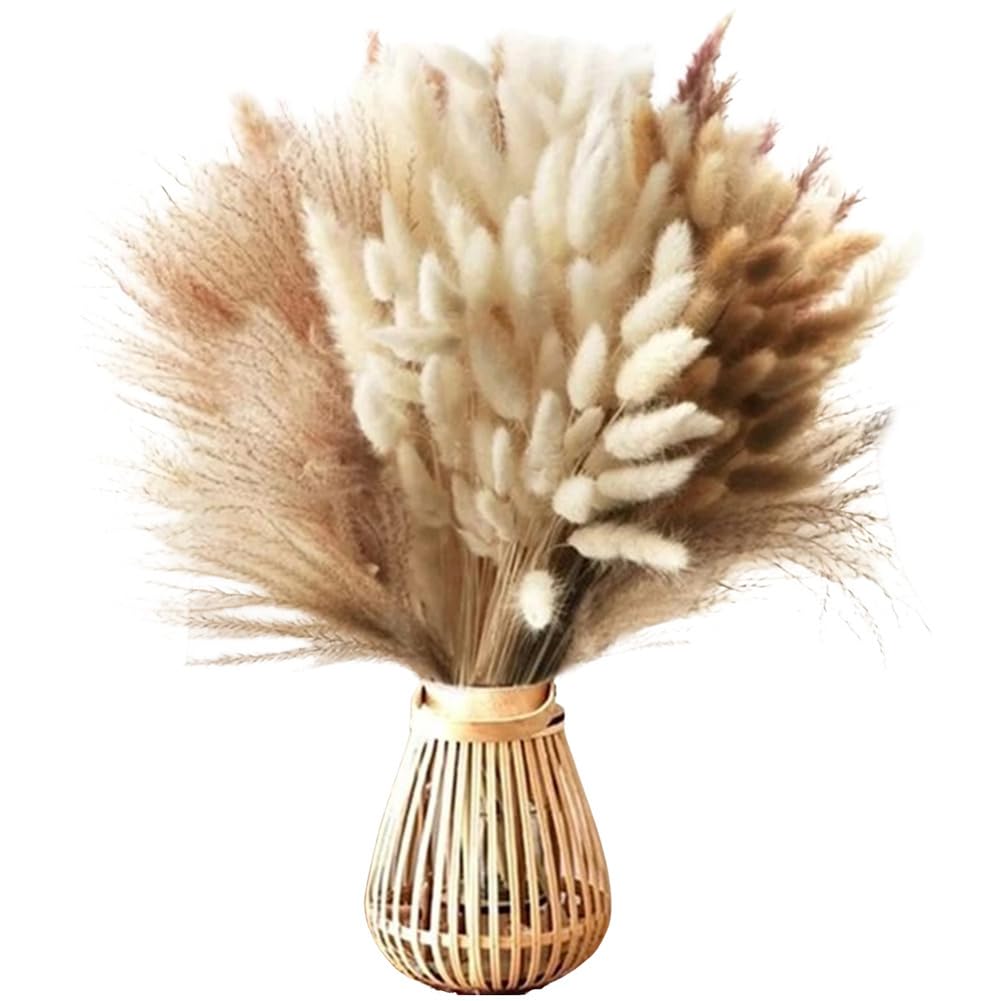 100 Fleurs Séchées en Forme De Queue De Lapin, Tiges d'herbe De La Pampa Naturelles, Style Bohème, pour Mariage, Maison, Remplissage De Vases, 30-45 Cm