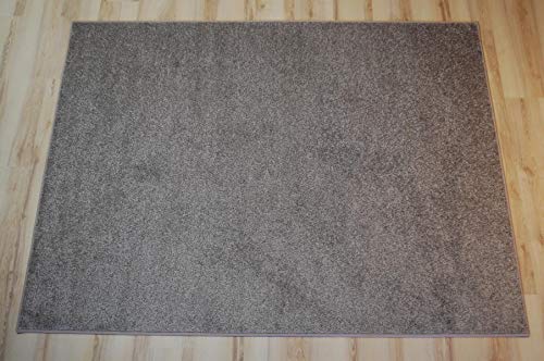 Miami Teppich Taupe beige Velours umkettelt - Verschiedene Größen (250 x 350 cm)