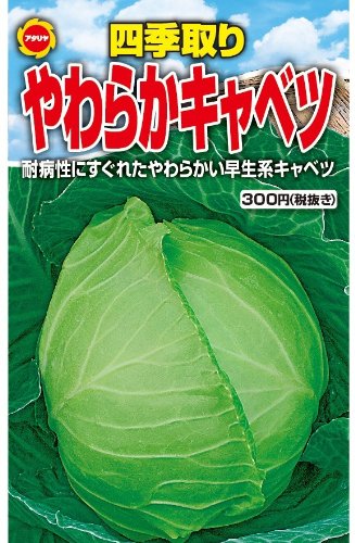【発送通知付き】 キャベツ農家になろう！　ギャイア3枚　 ロマネアース　4枚 発送通知付き】 キャベツ農家になろう！ ギャイア3枚 ロマネ