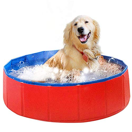 Collapsible Pet Dog Bath Pool, Kiddie Pool Hard Plastic Foldable Bathing Tub PVC Outdoor Pools for Dogs Cat Kid