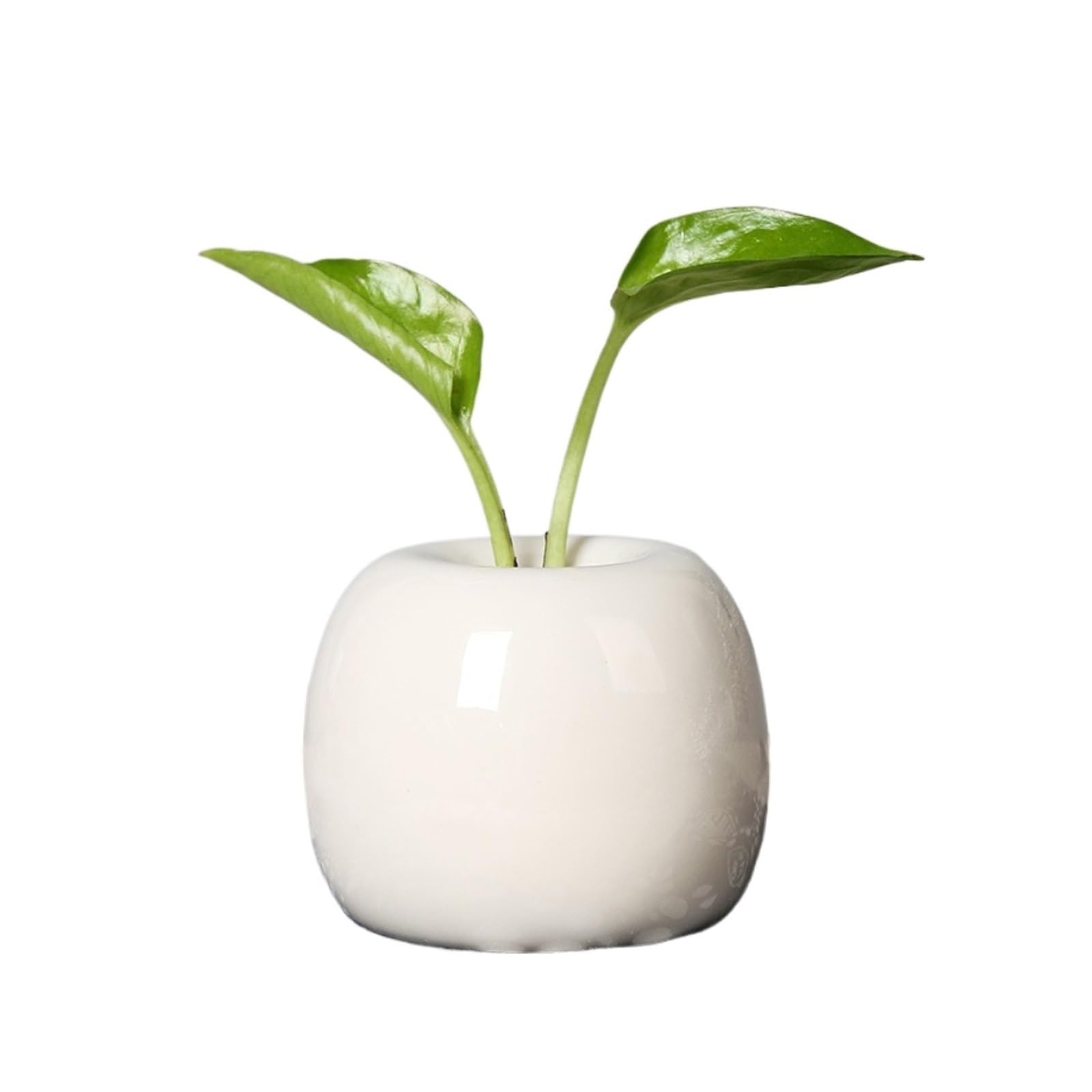 Flower Holder Fruit Shape Ceramic Vase For Home Lving Room Flower For Centerpiece(White)