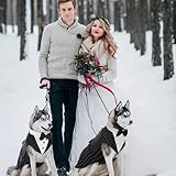 Kuoser Hund Smoking Anzug & Bandana Set, Haustier Fomal Kleidung Hunde Mantel mit Abnehmbarer Fliege, Hundeanzug Welpe Kostüm Shirt für Hochzeit Halloween Geburtstag Party, S-XXL
