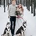 Kuoser Hund Smoking Anzug & Bandana Set, Haustier Fomal Kleidung Hunde Mantel mit Abnehmbarer Fliege, Hundeanzug Welpe Kostüm Shirt für Hochzeit Halloween Geburtstag Party, S-XXL