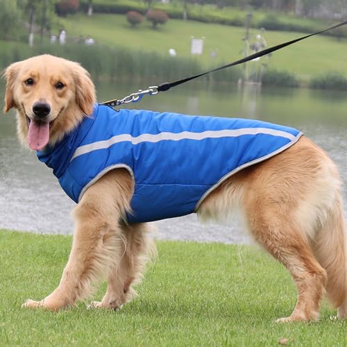 Voarge Wasserdichter Hundemantel Winter Warme Jacke, Reflektierende Verstellbare Outfit Winter Jacke für kleine mittelgroße Hunde mit Geschirrloch (Blau, 3XL)