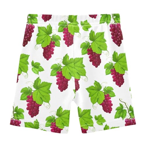 Ripe Grapes Girls Bike Shorts Toddler Under Dress Dance Shorts Girl Clothes for Dresses,4T2