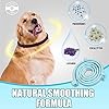 Collare Calmante Anti-ansia per Cani, Regolabile, Feromoni 60 Giorni, Lunga Durata, Impermeabile, Naturale, Sicuro per Tutti i Cani (Blu-2pz)