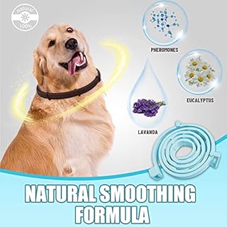 Collare Calmante Anti-ansia per Cani, Regolabile, Feromoni 60 Giorni, Lunga Durata, Impermeabile, Naturale, Sicuro per Tutti i Cani (Blu-2pz)