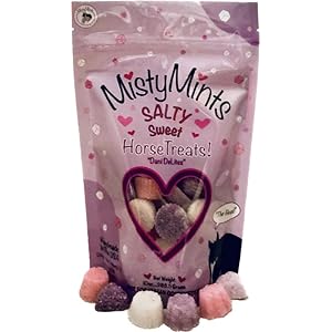 Sweet Horse Treats (Salty Sugar Sweet Horse Treats)