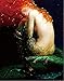 NewBrightBase Mermaid Oil Fabric Cloth Rolled Wall Poster Print - Size: (17" x 13")
