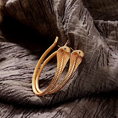 Fettero Gold Stud Earrings For Women Gold Plated Dainty Hypoallergenic Earrings Stud Simple Snake Around Hypoallergenic Small Cute Jewelry Gift For Women #TOP3