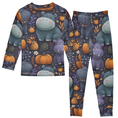 Pajama Sets Long Sleeve Cute Hippo Pumpkin Pattern Soft Comfy Sleepwear 2 Piece PJS 3-8T3