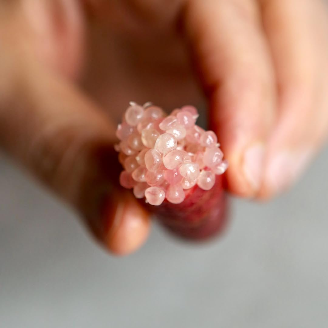 Fruits at Home - 3 Barquettes Citron Caviar Rose Frais 60g chacune