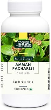 YOGIS HERBS Amman Pacharisi Capsules Euphorbia Hirta Herbal Supplement for Respiratory & Immune Wellness | Single-Herb Purity, FSSAI Certified | Non-GMO, Vegan, Gluten-Free | 90 Capsules
