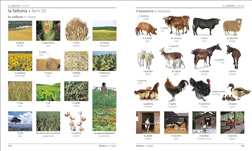 Image of Italian English Bilingual Visual Dictionary (DK Bilingual Visual Dictionaries)