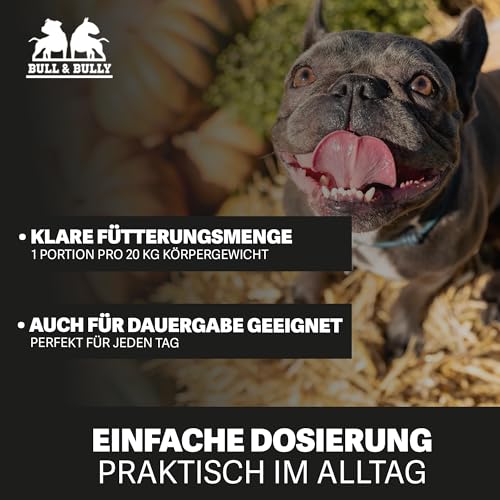 BULL & BULLY – Frische Beute 10kg Hundefutter Trocken mit Lachs, Rind & Geflügel – Hochwertiges Dog Food & Trockenfutter für Hunde mit hohem Fleischanteil – Leicht verdauliches Futter für aktive Hunde