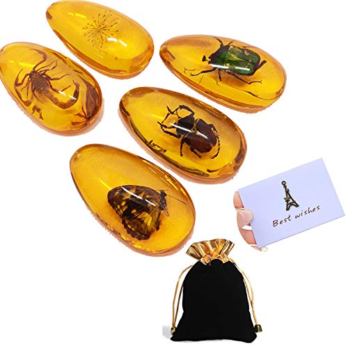 5 insectos fósiles ámbar con bolsa de regalo y tarjeta de regalo, muestras de grado museo, insectos naturales ámbar artificial (5 diferentes al azar) Cover