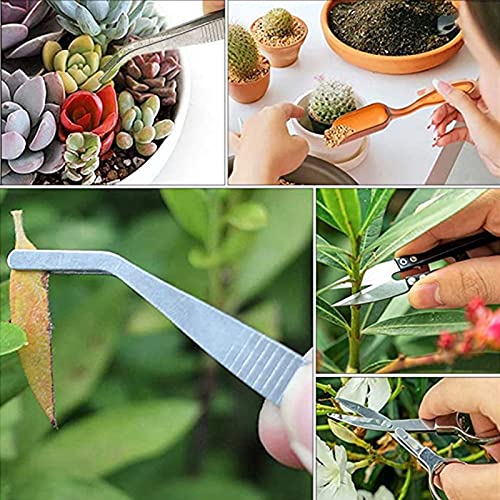 Set de herramientas de jardinería 12 piezas SaferCCTV miniatura 4
