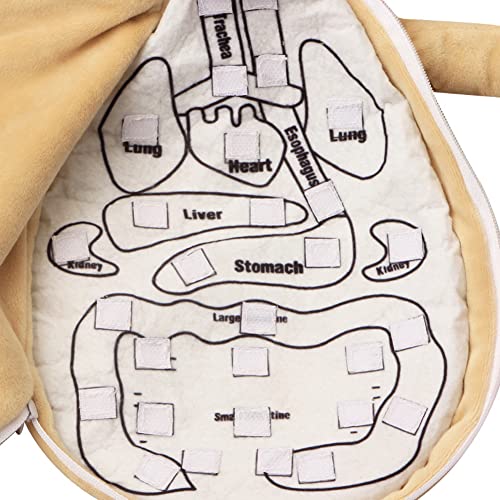 3D Organ Apron, Human Body Organs Toy Educational Toys for Children Educational Science Preschool Early Teaching Equipment - Image 3