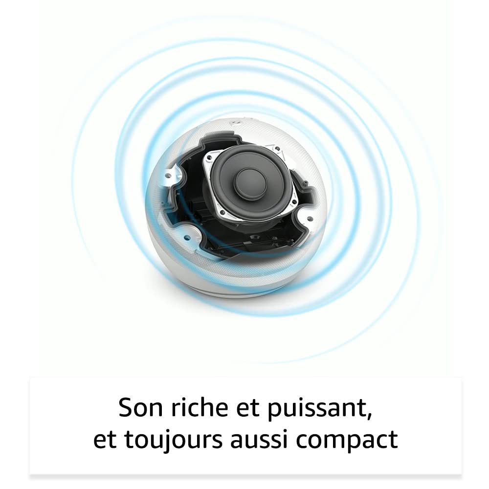 Echo Dot (5e génération) | Anthracite + Philips Hue White ampoule connectée (E27), Fonctionne avec Alexa - Kit de démarrage Maison connectée