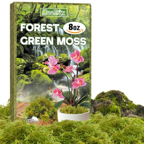 ZeeDix Sphagnum Moss for Plants Indoor 8 oz Dried Orchid Moss Natural Green Soil Amendment for Repotting Monstera & Succulents (Expands to 12 qt)