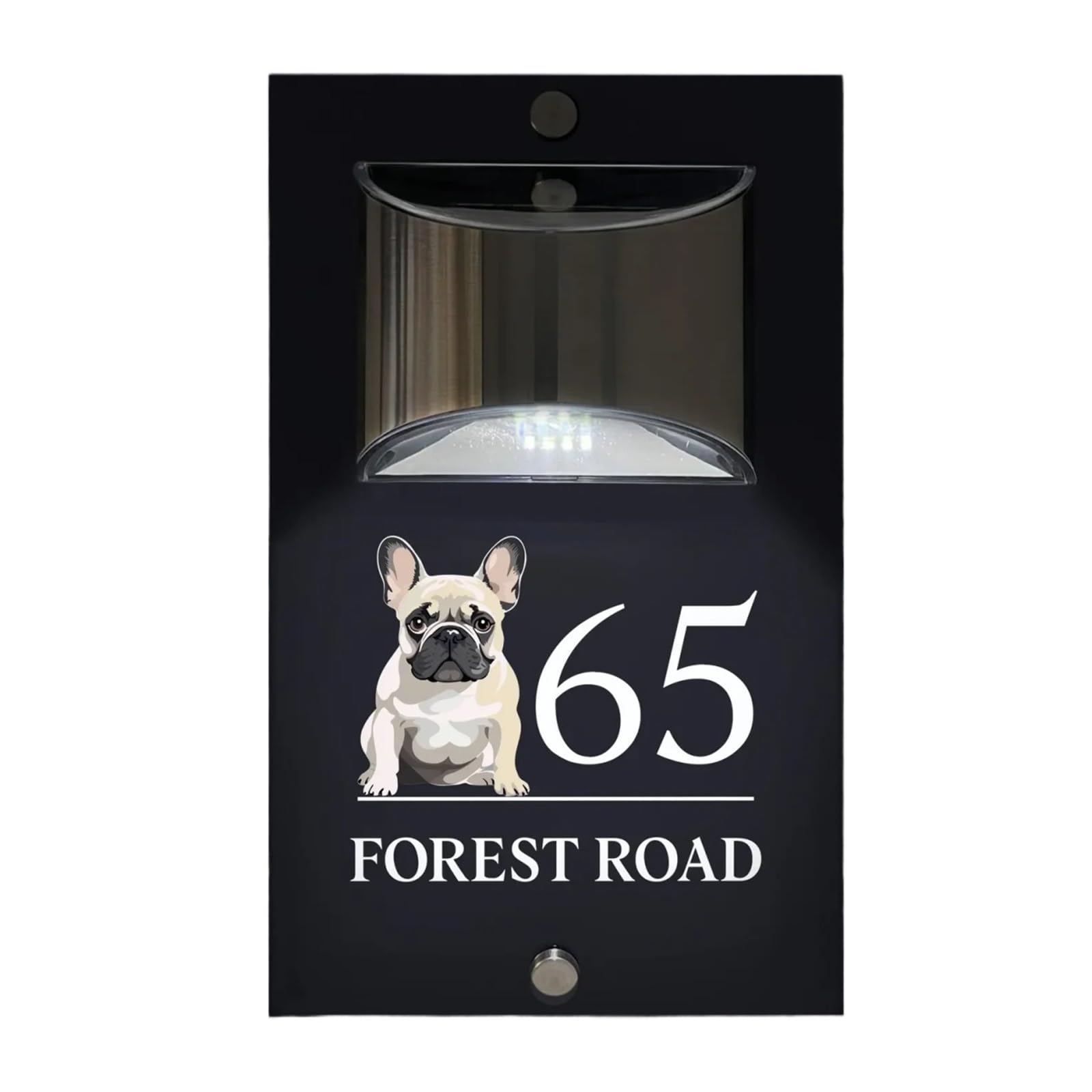 Numero civico, cartello con numero civico personalizzato con illuminazione solare, moderno, color antracite, design con cane e bulldog (stile 6,6 x 25,4 cm)