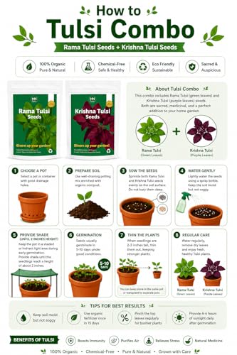 Image of Rama & Krishna Tulsi seeds Combo | Holy basil | Black Shyama | (Rama | Krishna Tulsi Combo)