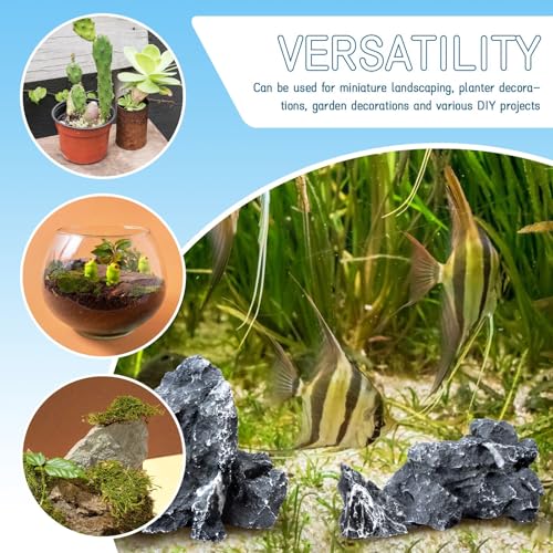 Image of VOKOY 2.5lb Natural Seiryu Stones, Aquarium Rocks Decoration Aquascaping Stone Landscaping Model for Fish Tank Decor Terrariums Paludariums Reptile Enclosures Gardens, 2-6 inches