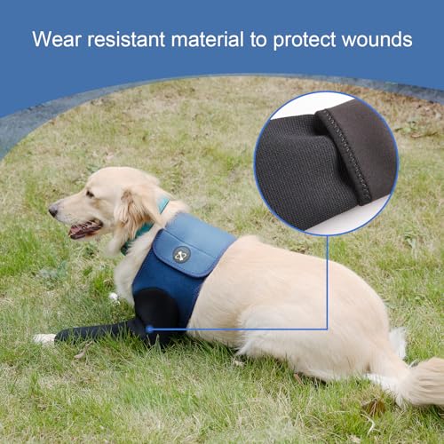 Dog-Recovery-Suit-Cone-Collar-Alternative-Abrasion-Resistant-Dog-Recovery-Sleeve-Washable-25mm-Thick-and-Waterproof-Pet-Wounds-Prevent-Licking-Bite-Keep-Dry-XXL Dog Recovery Suit Cone Collar Alternative Abrasion Resistant Dog Recovery Sleeve Washable 25mm Thick and Waterproof Pet Wounds Prevent Licking Bite Keep Dry XXL